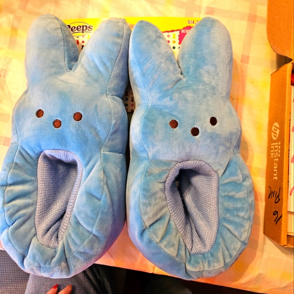 NWT Peep SLIPPERS